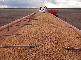 Safra recorde é praticamente certa, mas preço do alimento não deve cair, diz IBGE