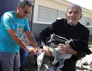 CCZ atende cães e gatos de Residenciais em Dourados