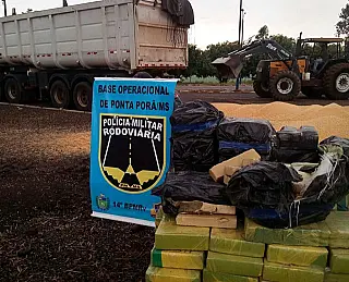 Polícia apreende carga de maconha que renderia R$ 100 mil a condutor
