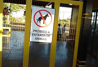 Lei permite animais de estimação em parques públicos, com ressalvas