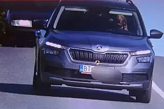 Motorista é multado após cão ser flagrado ao volante de carro, em alta velocidade