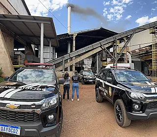Polícia Civil incinera 3,6 toneladas de drogas