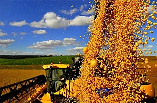 Safra 2016/2017 bate recorde com crescimento de 30,4%