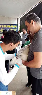 Campanha de Vacinação Antirrábica começa nesta quinta-feira