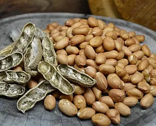 Seminário na Expoagro vai mostrar novo potencial