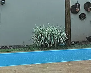 Verão começa com temperaturas elevadas e pouca chuva