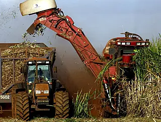 329 vagas de trabalho