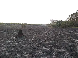 Fogo em área de preservação provoca sujeira em toda a cidade