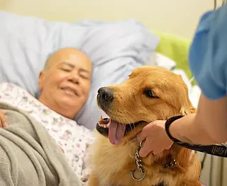 'Alfredo' e amigos pets fazem visita na Cassems