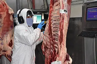 Mercado de carnes continua aquecido em MS
