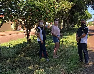 Rotarianos ajudam na limpeza de canteiros em Dourados