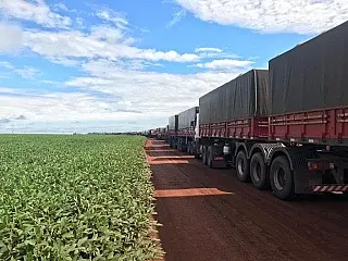 Produtores são obrigados a acelerar o escoamento do milho com proximidade da colheita de soja