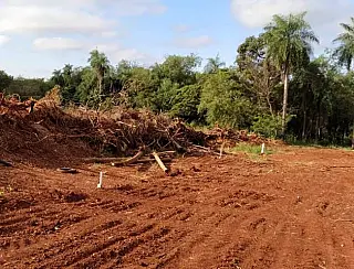 PMA autua dono de chácara em R$ 5 mil por desmatamento em área de matas ciliares do rio Dourados