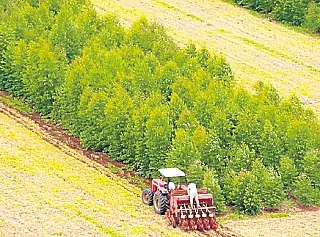 MS é o primeiro em áreas de produção integradas no Brasil