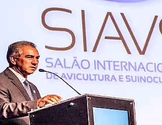 MS é único Estado a participar de Salão internacional de Avicultura e Suinocultura
