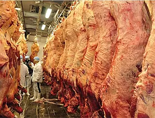 Frigoríficos de Mato Grosso do Sul elevaram número de contratações em 2017