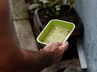 Saúde divulga números de Levantamento para o Aedes