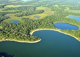 Estado firma acordo com o MT para garantir a integridade do Pantanal