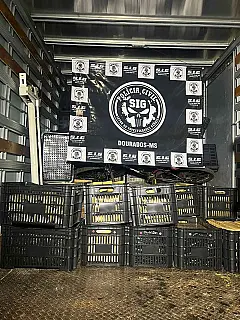 Polícia Civil apreende 1,7 toneladas de maconha em Dourados