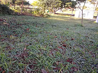 Noite mais fria do ano registrou mínima de 4 graus em Dourados
