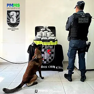 PM prende homem com quase 14 quilos de skunk em Dourados