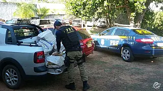 Quadrilha é presa com 210 kg de maconha em carro roubado