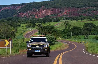 "Estrada Viva" amplia ações em rodovias para reduzir acidentes com animais silvestres