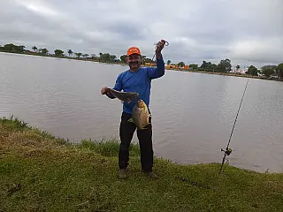 Moradores já capturam primeiros exemplares nos parques de Dourados
