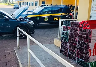 Mais de 430 kg de maconha apreendidas