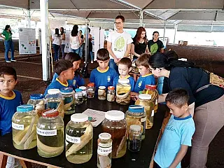 Imam realiza atividades do dia de educação ambiental na praça