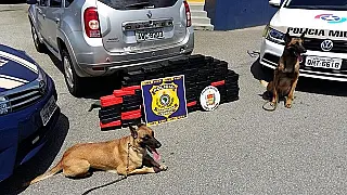 Policial de Mato Grosso do Sul é preso no litoral catarinense com mais de 100 quilos de crack