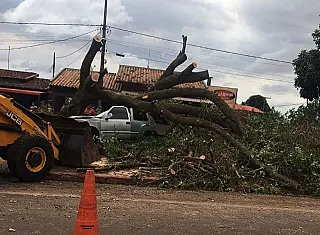 Ventos com poeira, e sem chuva, provocam estragos em Dourados