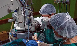 Transplante de fígado passa a integrar lista da ANS