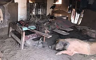 Pecuarista é condenado em R$ 300 mil por submeter trabalhador a condições análogas à escravidão