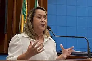 Lia Nogueira solicita melhorias da MS 141 entre Naviraí e Ivinhema 