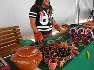 Agroecologia é tema de debate na Capital