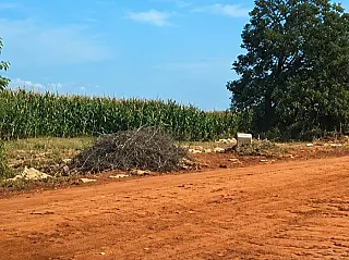Zé Teixeira articula pavimentação em Dourados e mais saneamento em Laguna