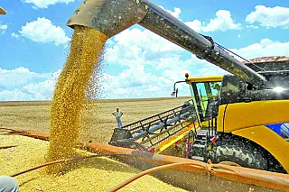 Produção de grãos deve chegar a 299,8 milhões de toneladas