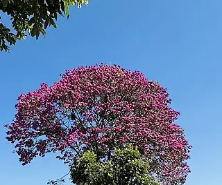 Frente fria com chuva e sol no fim de semana