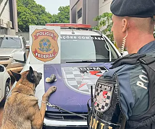 Mullher é flagrada por cão da PM com haxixe