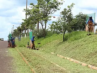 Em 100 dias, Serviços Urbanos começou a limpar Dourados