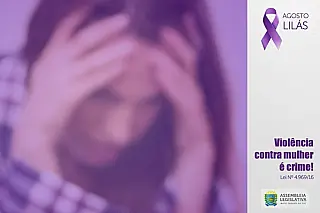 Combate à violência contra a mulher é pauta permanente na ALEMS
