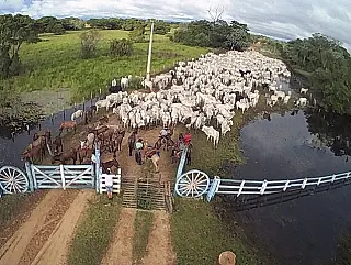 Sindicato Rural de Corumbá contesta relatório do MP sobre os incêndios no Pantanal