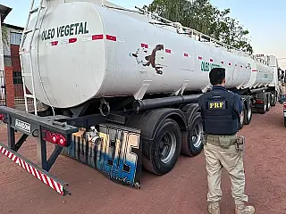 PRF faz a maior apreensão de maconha do ano em rodovia de MS: 22 toneladas