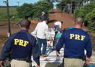 PRF apreende carreta com 11 toneladas de maconha