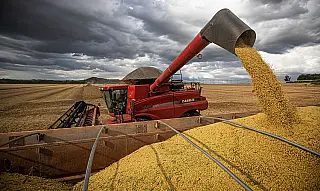 IBGE estima safra recorde de 261,9 milhões de toneladas em 2022