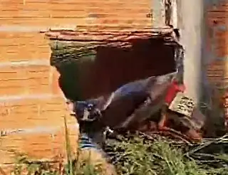 Homem invade muro em construção e morre