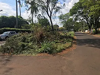 Centro com lixo e árvores empilhadas produz retrato feio da cidade