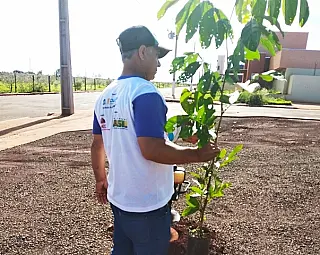 Imam planta mudas em novo Residencial