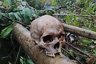 Ossada humana é encontrada às margens de rodovia próximo à Maracaju
